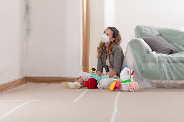 Reliable Mold Cleanup contractor in Haltom City, TX by WQB Mold Removal